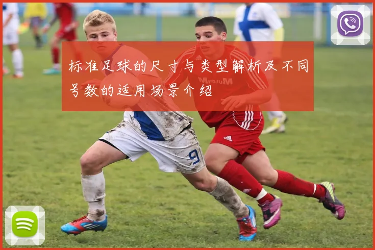 标准足球的尺寸与类型解析及不同号数的适用场景介绍