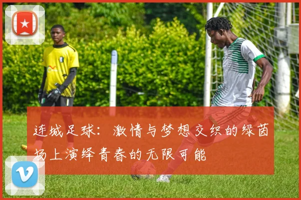连城足球：激情与梦想交织的绿茵场上演绎青春的无限可能